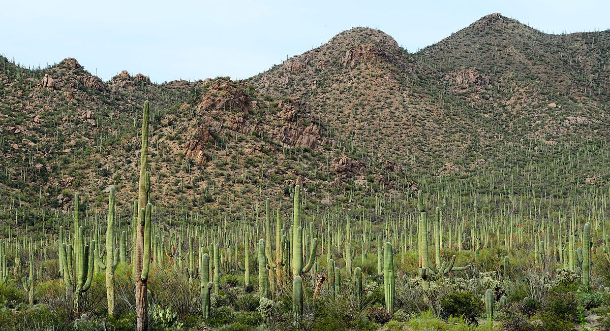 Vista De Sierras Tucson Az